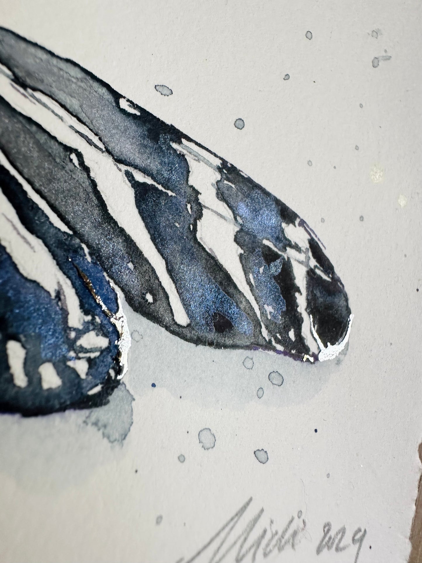 Heliconius charithonia, Zebra Longwing Butterfly w/ Silver Leaf (Framed)