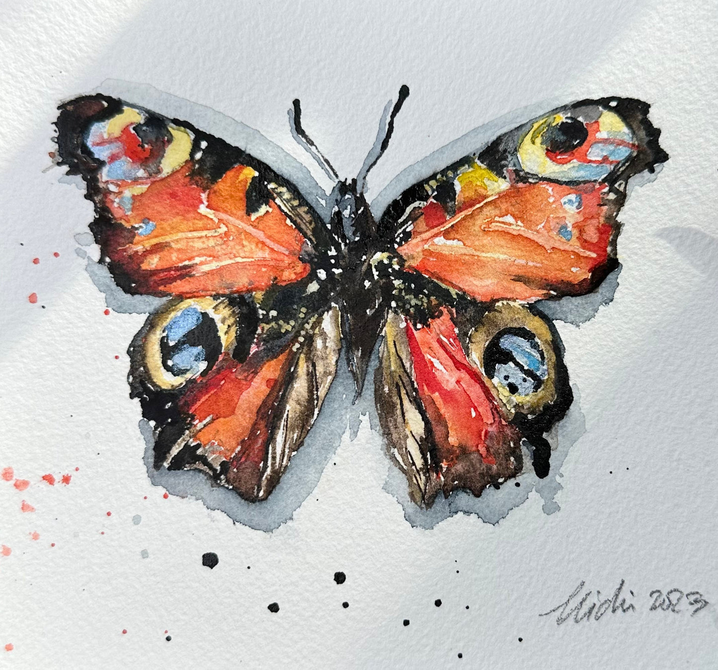 Aglais io / The Peacock Butterfly