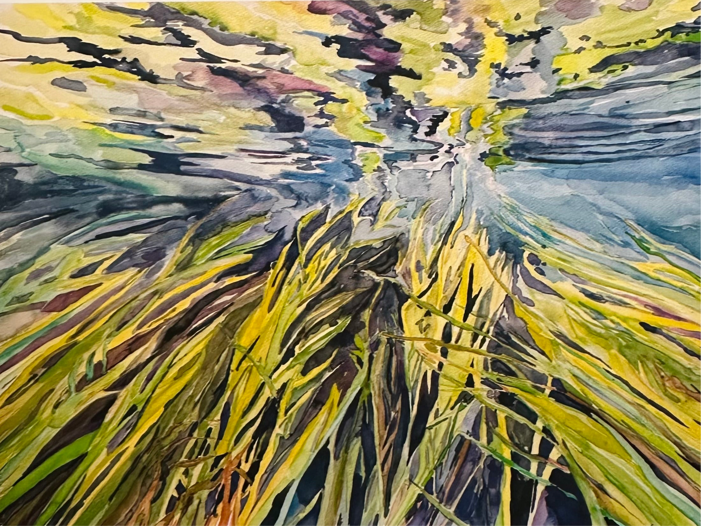 Texas Wild Rice Print - 2 sizes