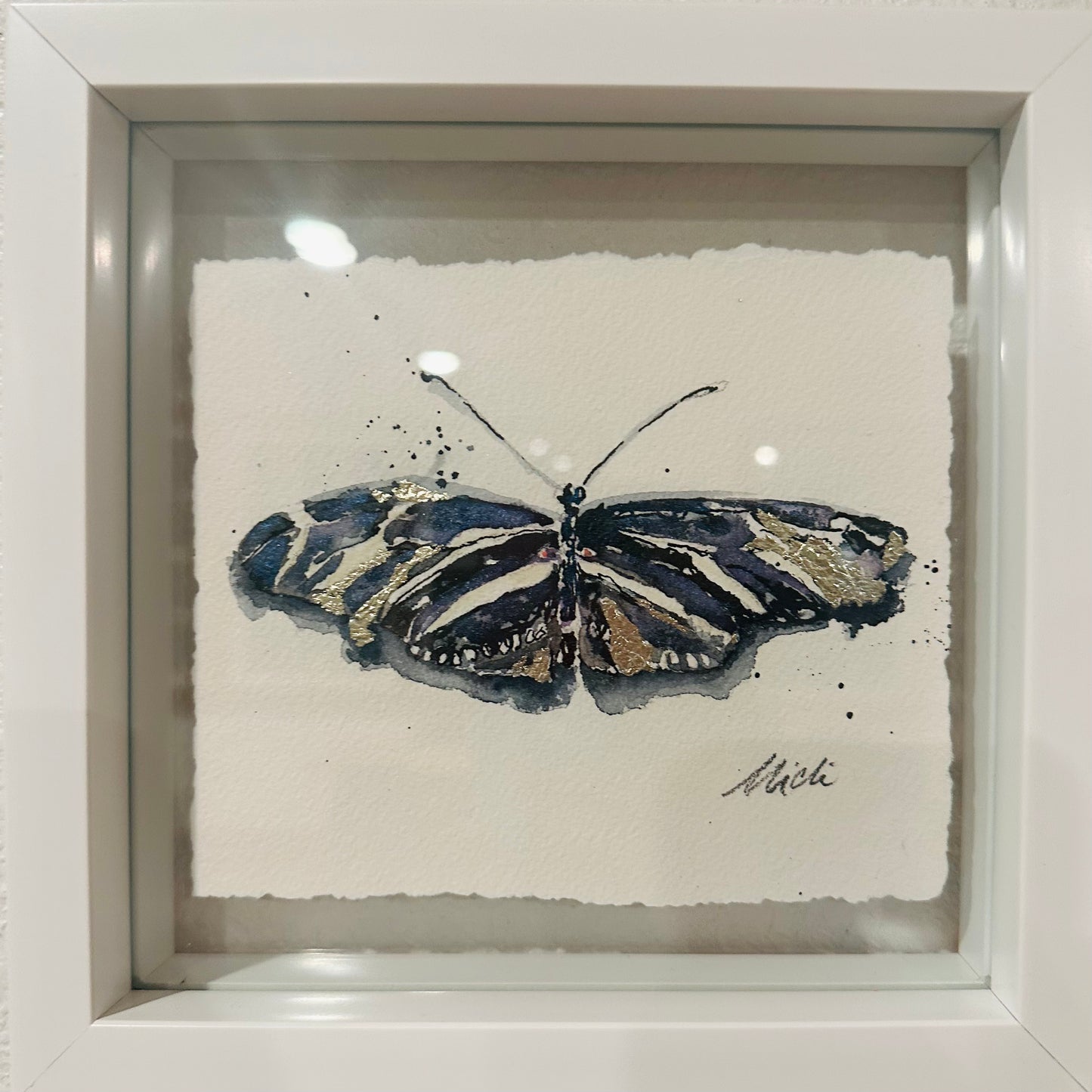 Heliconius charithonia, The Zebra Longwing Butterfly no