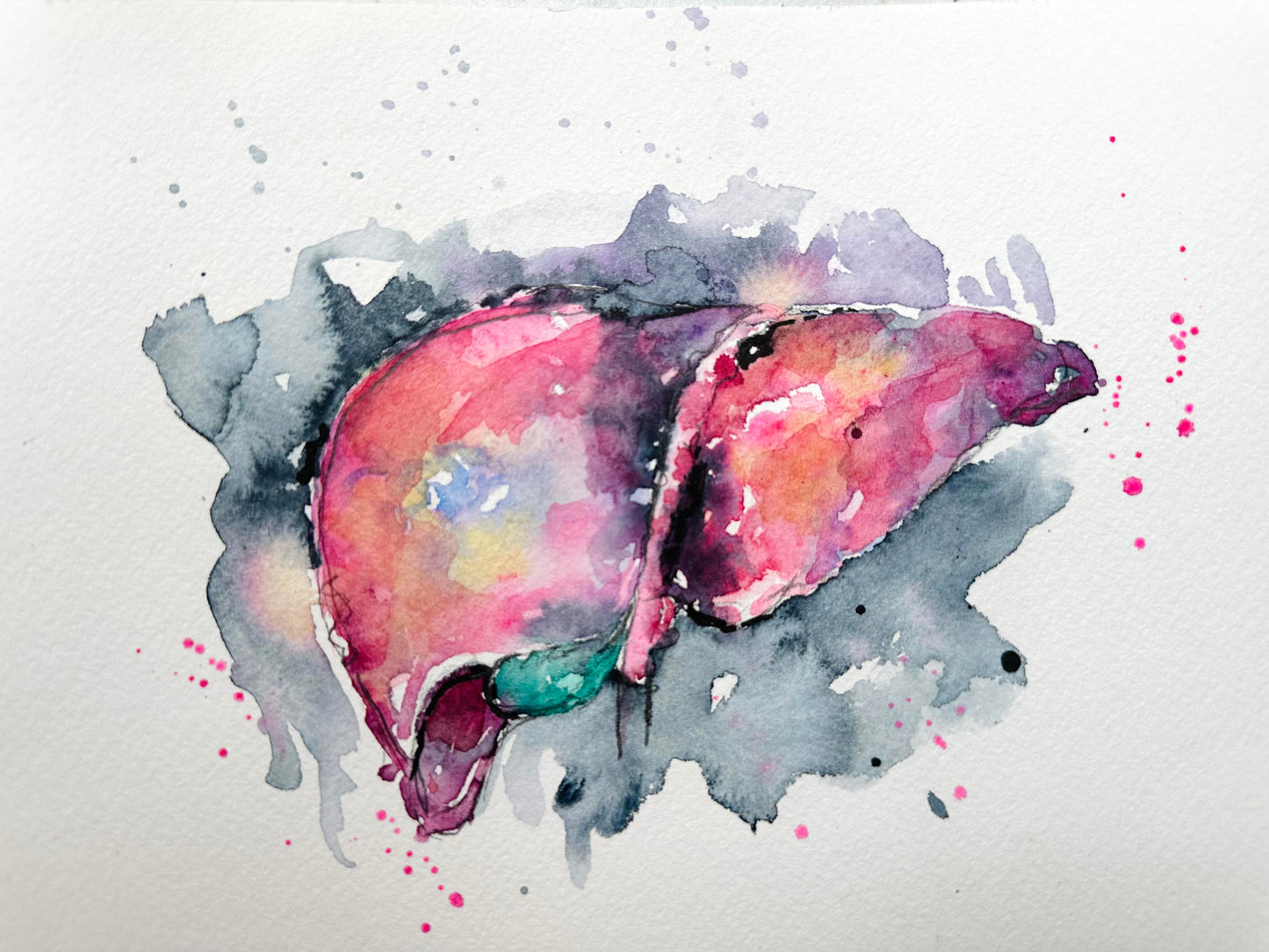 Liver