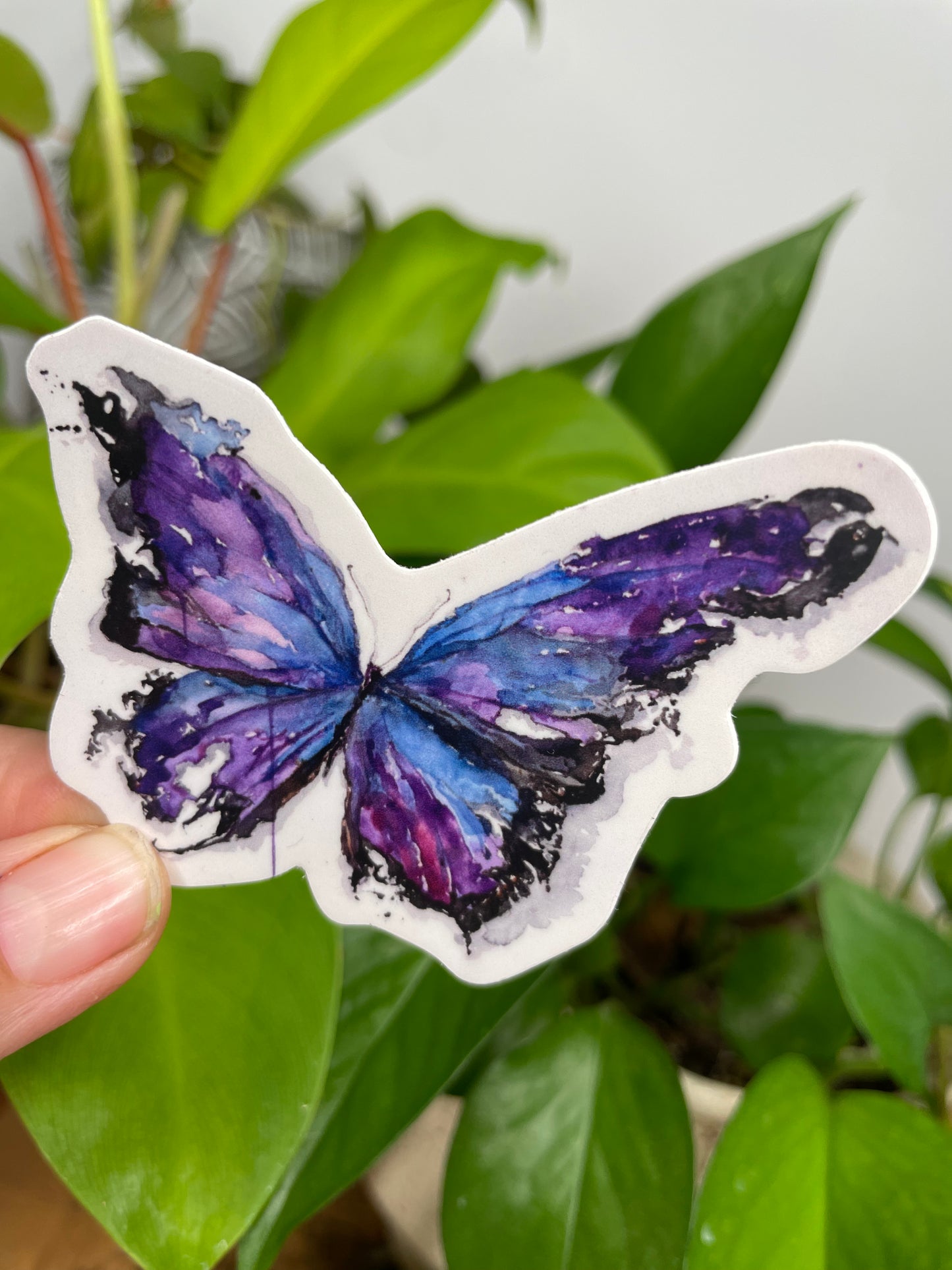 Purple Butterfly Sticker