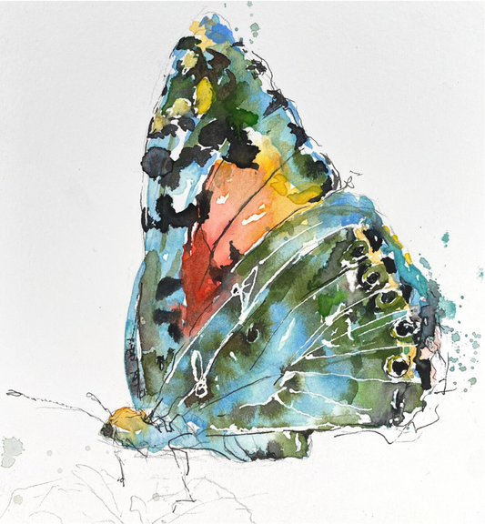 Rainbow Butterfly (Print)