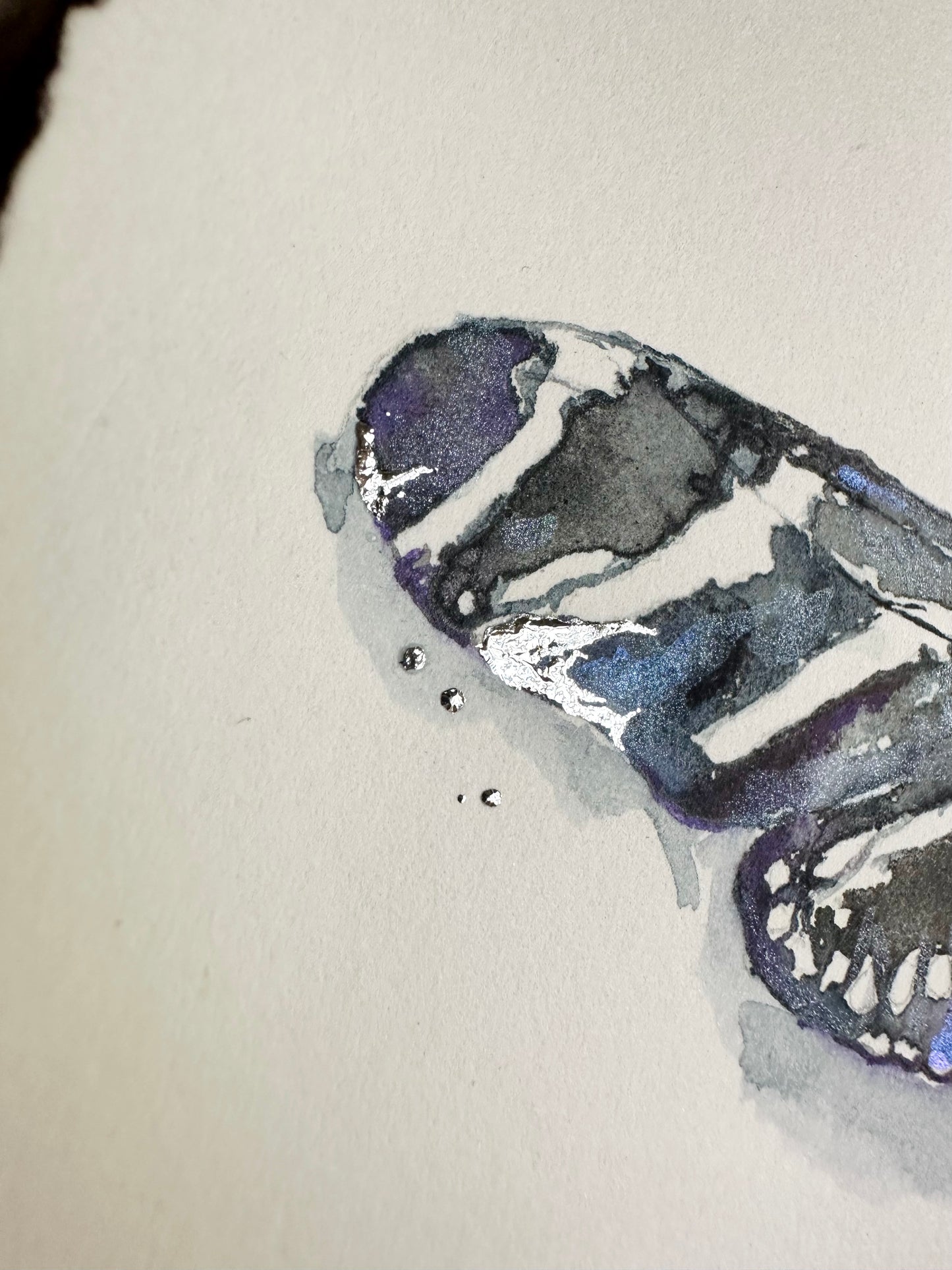 Heliconius charithonia, Zebra Longwing Butterfly w/ Silver Leaf (Framed)