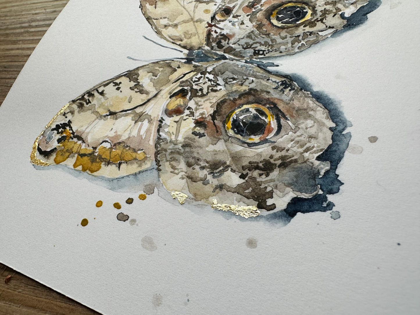 Owl Butterfly