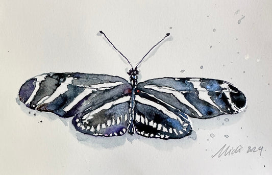 Heliconius charithonia, Zebra Longwing Butterfly w/ Silver Leaf (Framed)