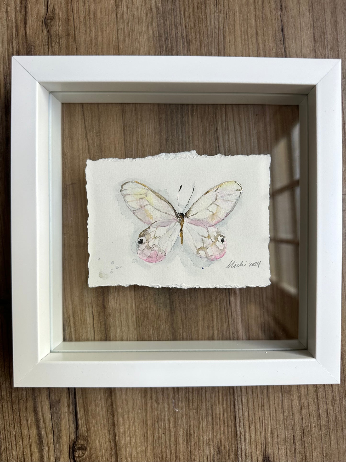 Greta oto, punk Glasswing Butterfly (Framed)