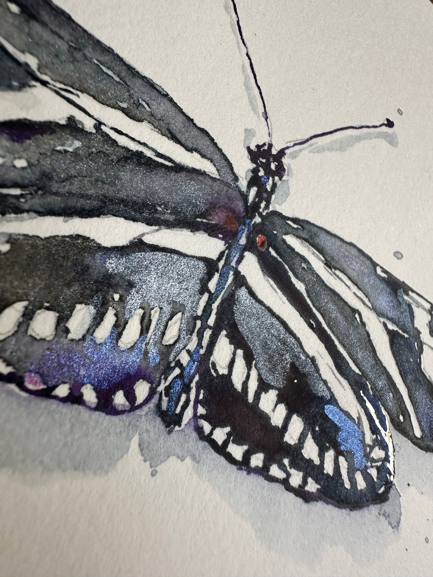 Heliconius charithonia, Zebra Longwing Butterfly w/ Silver Leaf (Framed)