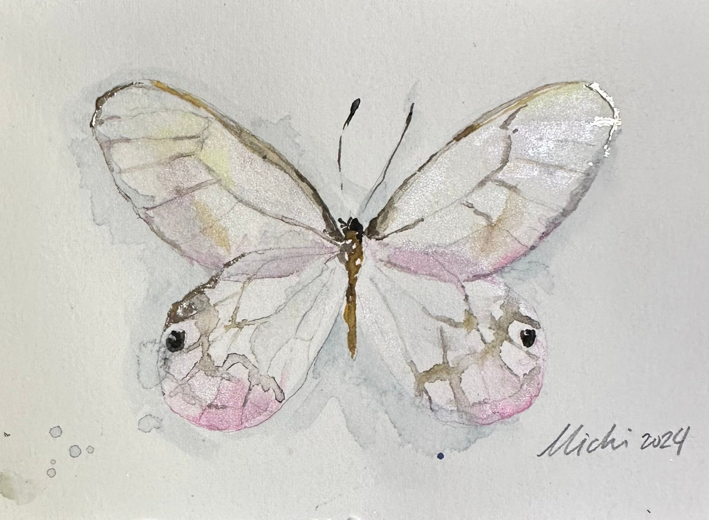 Greta oto, punk Glasswing Butterfly (Framed)