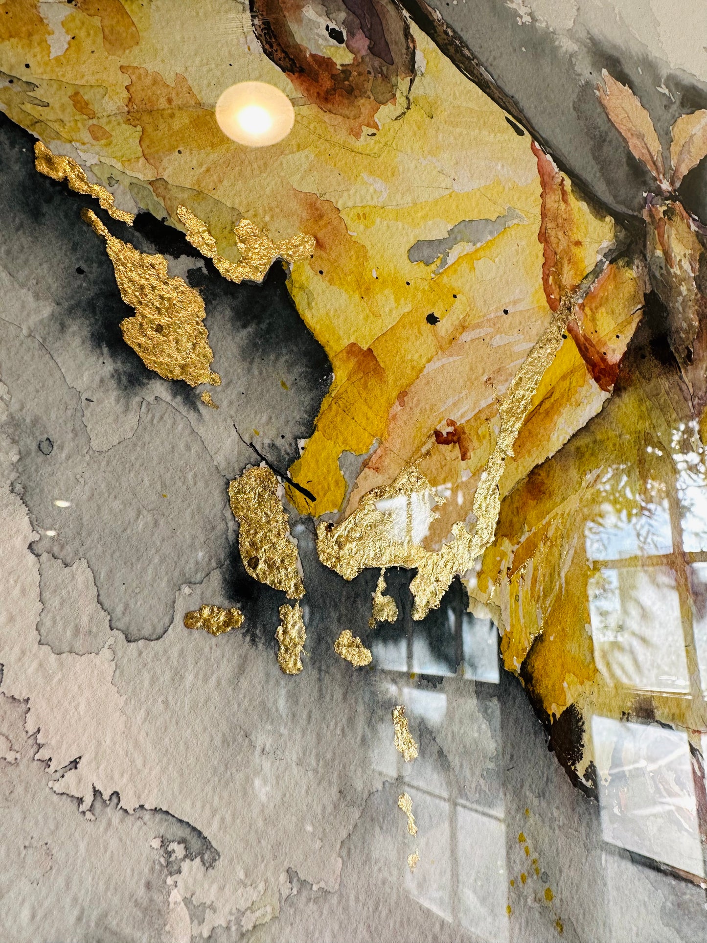 Actias Luna, Yellow Luna Moth