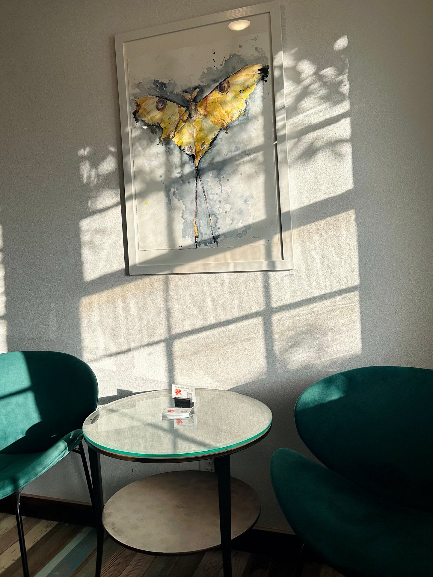 Actias Luna, Yellow Luna Moth