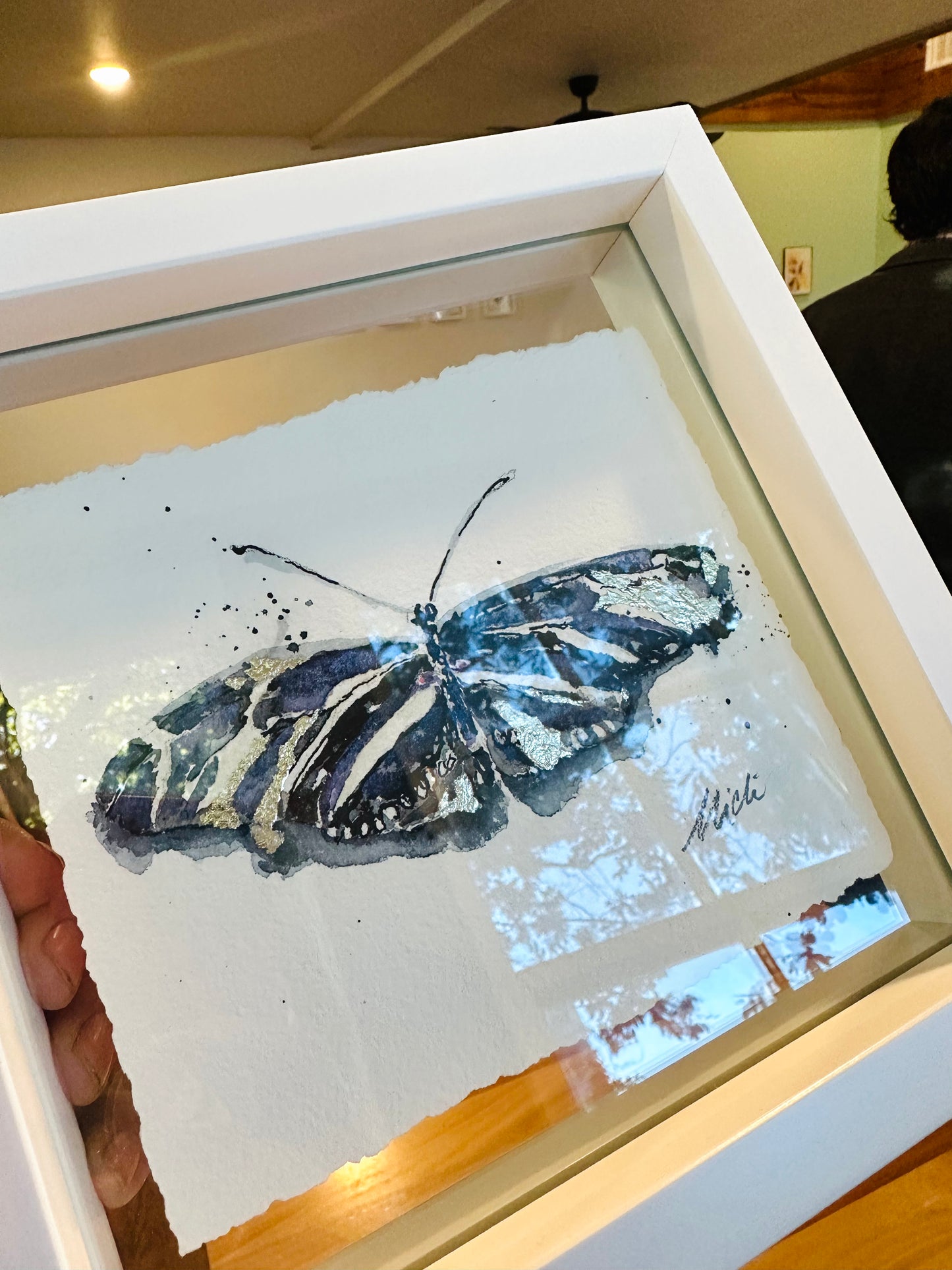 Heliconius charithonia, The Zebra Longwing Butterfly no