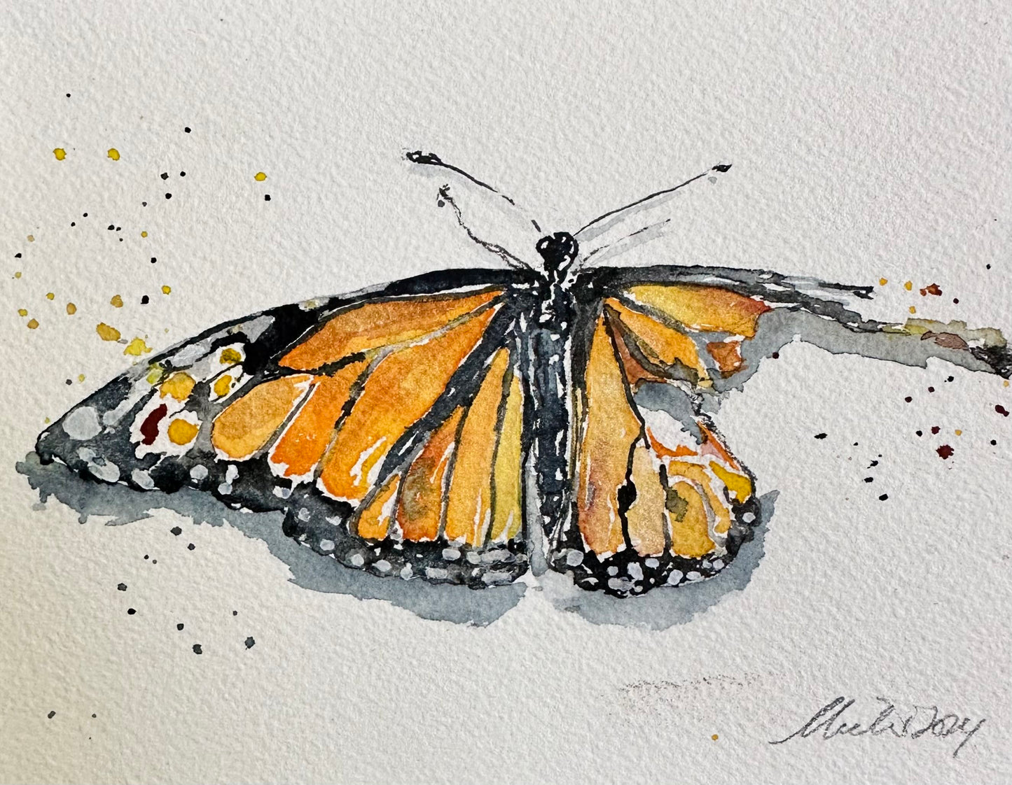 Monarch Broken Butterfly w/ Gold Leaf