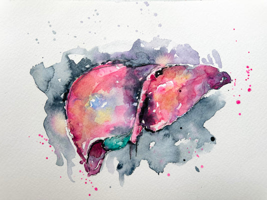 Liver