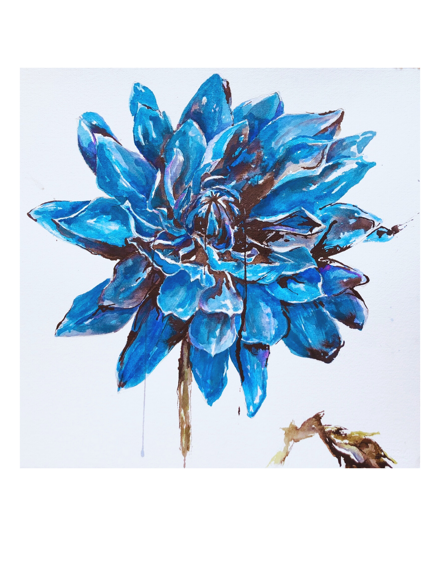 Blue Dahlia - print