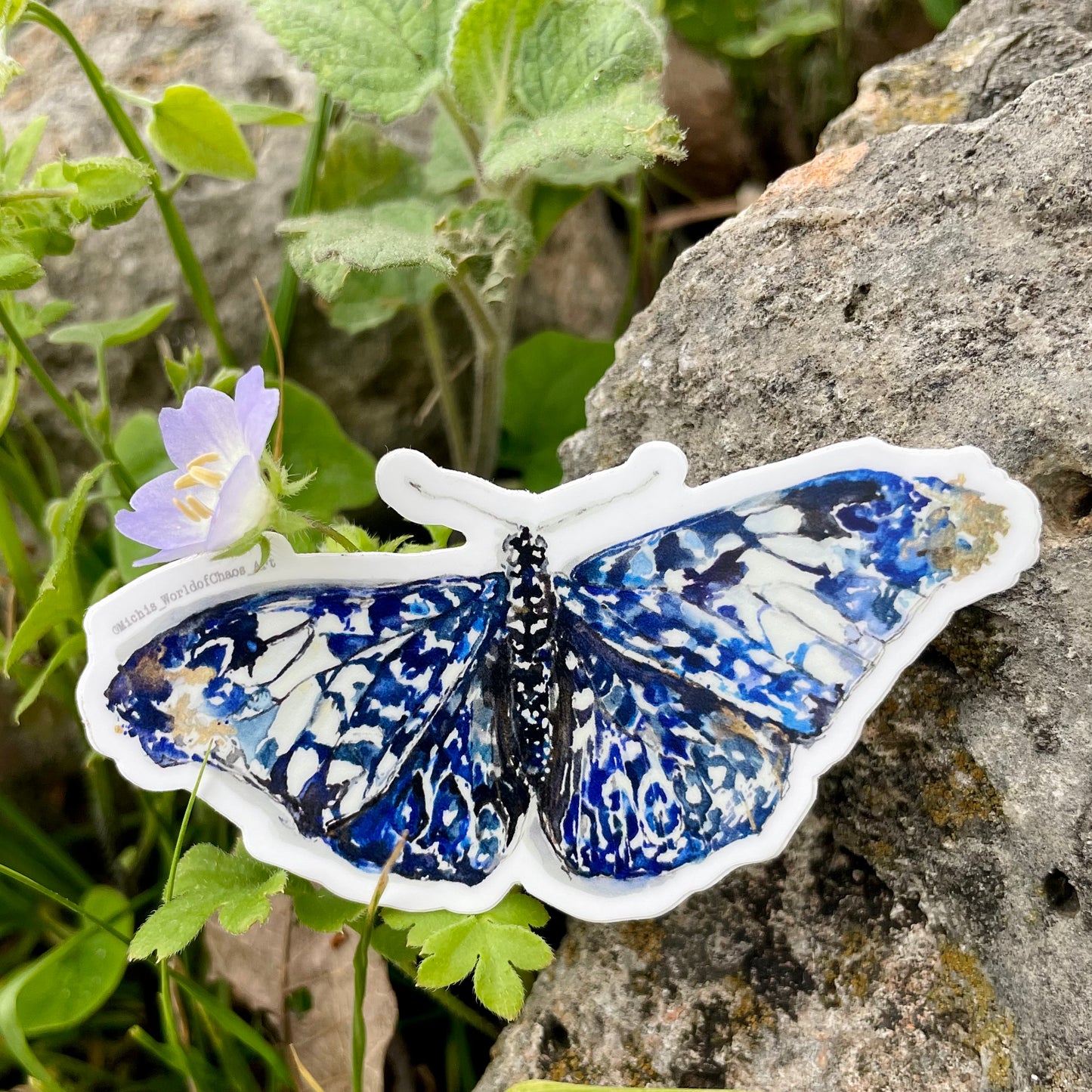 Blue Butterfly Sticker