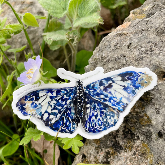 Blue Butterfly Sticker